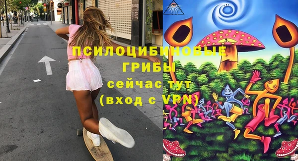 соль курить ск Михайлов