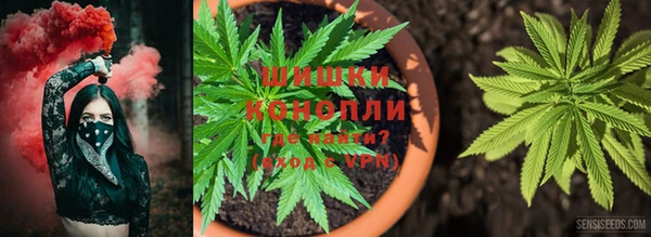 трава Михайловск