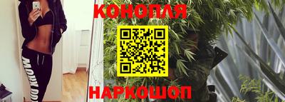 шишки Азнакаево