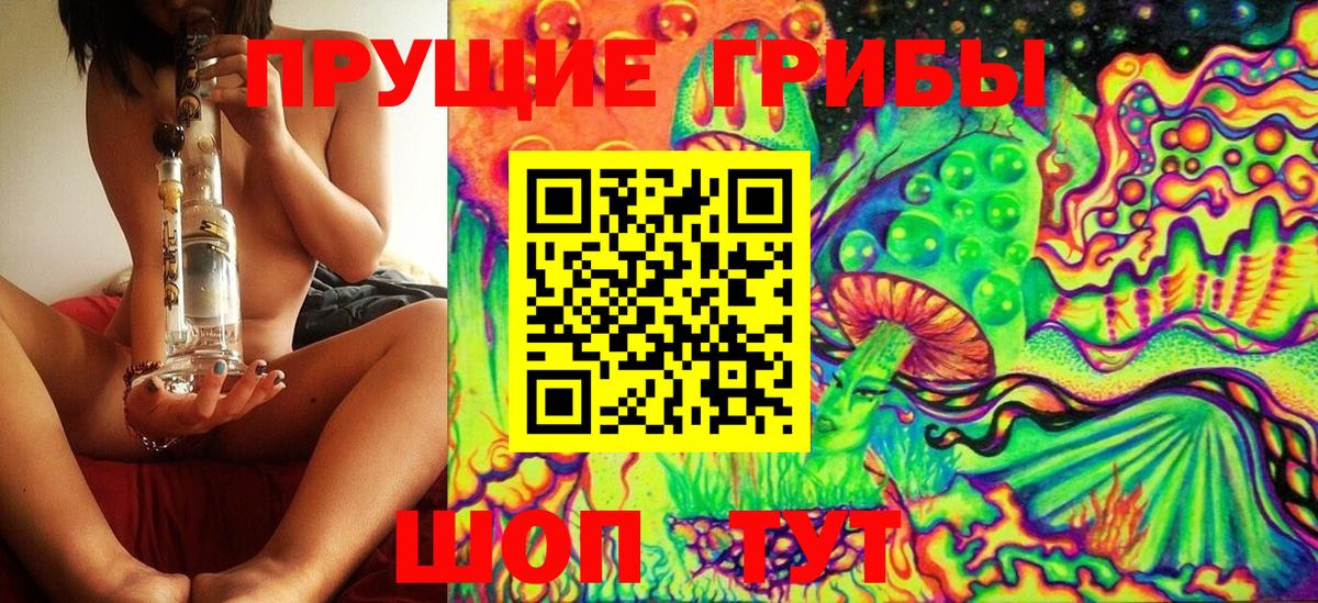 Псилоцибиновые грибы GOLDEN TEACHER  Вход с VPN  Россия 